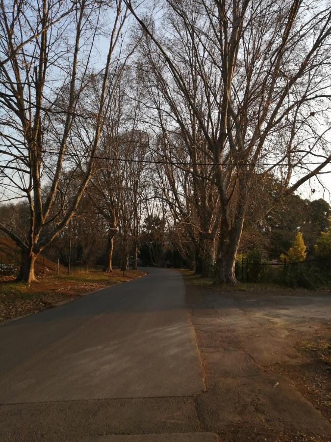 Cooper Cottage Howick Luaran gambar